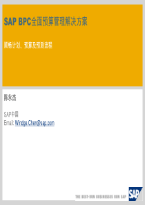 SAP全面预算管理解决方案