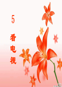 5看电视