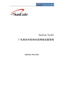 SunGateTraffic广电某地市有线电视网络流量管