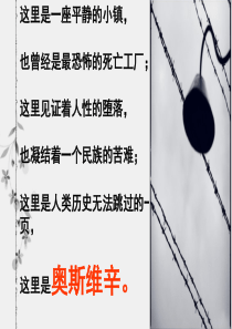 《奥斯维辛没有什么新闻》