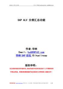 SAP分类汇总功能V10