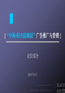 中海阳光棕榈园广告推广与营销(定位部分）（PPT 49页0