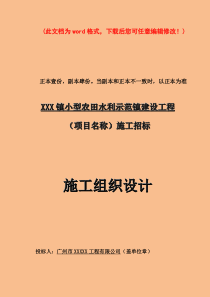 小型农田水利示范镇建设工程施工组织设计完整版