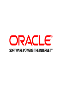 oraclel_ERP特点_cn01