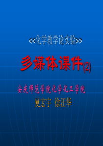 化学教学论实验多媒体课件(2)