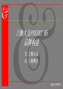 奥美—PASSAT广告提案（PPT 45页）