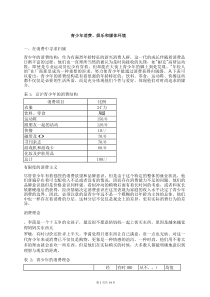 市场营销书籍集萃0266-青少年消费娱乐和媒体环境