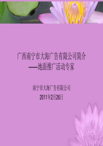 广西南宁市大海广告有限公司简介——地面推广活动专家