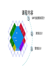 SAP__财务会计