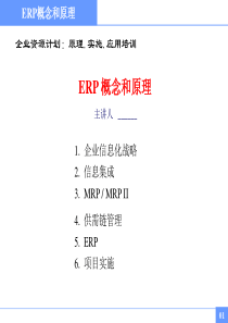 MT03-03ERP概念和原理