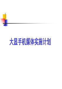 某知名手机厂商的媒体实施方案