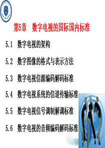 电视原理复习数字电视的国际国内标准