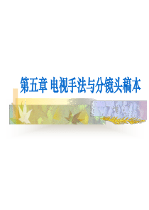 电视手法与分镜头稿本