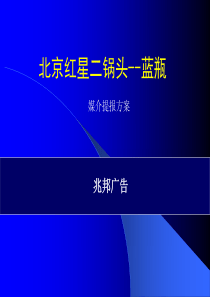 红星二锅头蓝瓶南京媒介提报方案