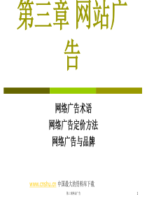 网站广告(ppt 67)