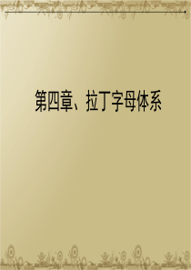 字体设计拉丁字母体系