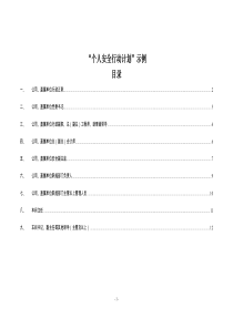 个人安全行动计划示例