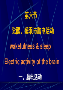 睡眠与脑电活动