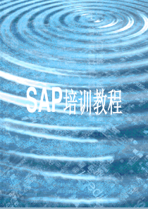 SAP培训教材[1]