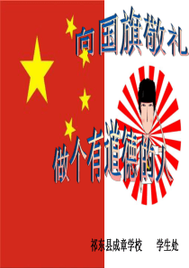 向国旗敬礼(PPT课件)