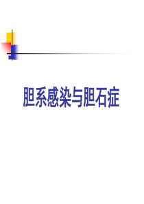 胆囊炎、胆石症课件