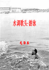 水调歌头游泳课件