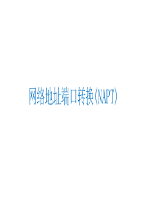 网络地址端口转换(NAPT)