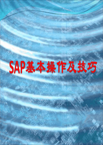 SAP基本操作及技巧