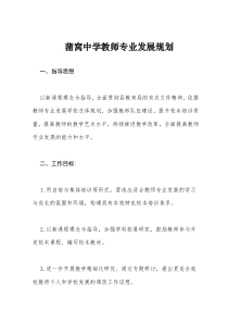 学校教师专业发展规划