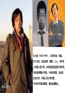 王小波介绍ppt