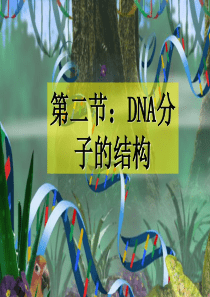 DNA的结构