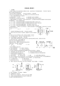 高中生物必修二期末精选试题-题目较多