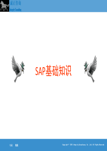 SAP基础知识介绍