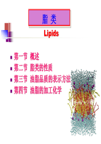 食品化学-脂类1