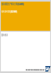 SAP复杂装配下的BOM管理(SAPCAMS-BOMM)