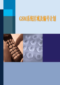 GSM系统区域及编号计划