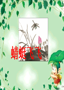 蜻蜓飞飞课件