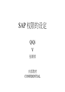 sap权限的詏定(2)