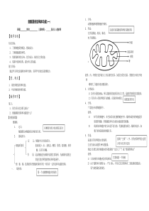 细胞器的结构和功能详解