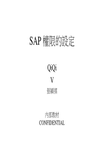 sap权限的设定