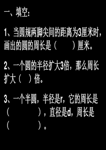 圆的周长练习题