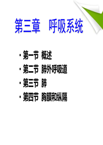 系统解剖学精品第三章呼吸系统-共65页PPT资料