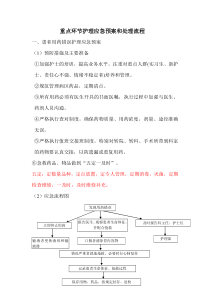 重点环节应急预案与处理流程