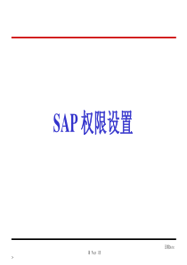 SAP权限设定讲稿