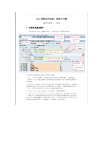 SAP权限设置控制和传输