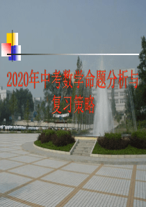 2020年中考数学命题分析与复习策略