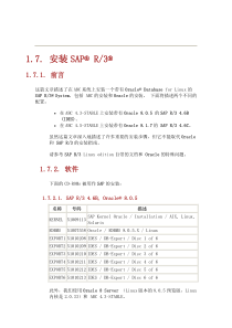 SAP完全安装手册_最新中文版_