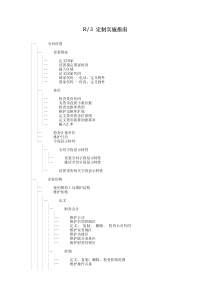 sap定制实施指南