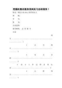 挖掘机售后服务顶岗实习总结报告1