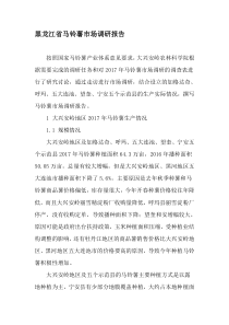 黑龙江省马铃薯市场调研报告-2019年精选文档